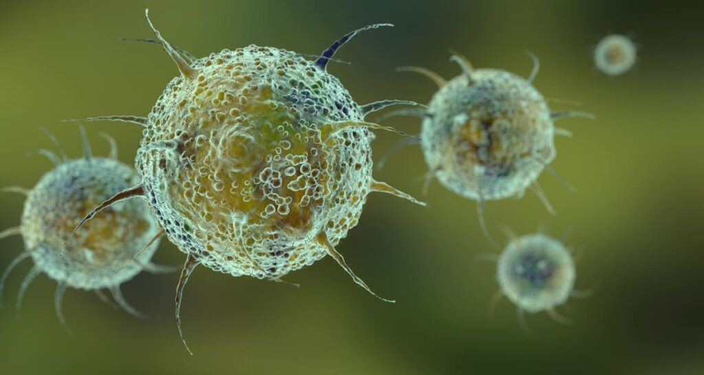 Exposición a agentes patógenos